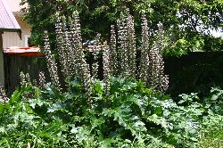 Image: Trevor James © Trevor James 